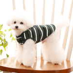 펫디자인 더블 ST 민소매 강아지옷 4colors : 펫디자인