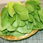 청경채 4kg / 국내산 / 최상품 / 팜웨이 : 자연대로팜웨이