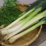 대파 1.8kg 1단 자연대로팜웨이 : 자연대로팜웨이