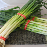 대파 1.8kg 1단 자연대로팜웨이 : 자연대로팜웨이