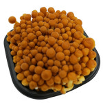 황금송이버섯 1팩  갈색팽이버섯 가락시장 직송 : 백년부엌