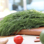 딜 생잎  약 10g DILL 향신료 허브 : 백년부엌