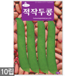 세인화분 적작두콩 씨앗 10립 - 씨 작두콩씨앗 작두콩씨 작두콩 콩씨앗 콩씨 텃밭 주말농장 : e세인