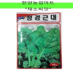 채소 청경근대 씨앗 10g 종자 : 한양농업마트