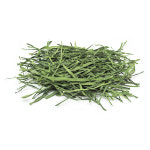 국산 소맥 100g/ 햄스터, 토끼, 기니피그, 친칠라 건초 : 햄토피아