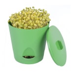 집에서 콩나물 키우기 식물 재배기 콩나물 재배기 시루 소형 : 아이가든