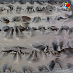 아침미소 건다시마 1kg 상 : 아침미소 채미원