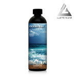 루미너스 오션 왁스 500ml / 워시앤왁스 카샴푸 : 오토왁스