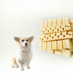 치아 건강 칼슘 영양 강아지간식 덴탈껌 반려견 개껌 양치보상 이갈이껌 댕댕이 성견 : 털많은이발소