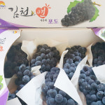 고당도 켐벨 캠벨 포도 1-3kg (2kg기준가) 특등급 하우스 노지 상주 김천포도 : 청록과일나라