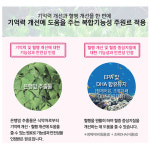 엔트리 생생큐 500mgx120캡슐 1세트 (기억력개선, 두뇌건강) : 365리빙마이엘샵