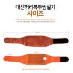 허리아플때 한의원 물리치료 핫팩 생리통 전기찜질기 순수 국내제작 : 보리수 BORISU