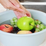 세수대야 세탁대야 아기 목욕대야 다라이 : 들쥐샵