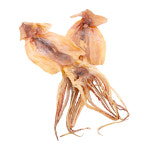 영동산골오징어 추석 설 선물 세트 3호 : 모두-스토어