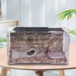 PC 케이지 P04 50x24x27 비바리움 사육장 파충류 장수풍뎅이 사슴벌레 : 이색동물 전문 레니팜