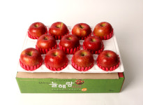 청송 얼음골사과 9kg 부사 선물용 유명한곳 : 청송늘해랑