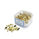 화신 리치 골드 압핀 대용량 클립 크립 압정 : 코코존