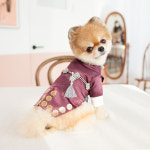 코코시앙 다솜 남아 한복 XS-2XL 강아지 고양이 애견 중형견 한복 : 르쁘띠숑