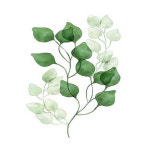 피포페인팅 Q3221 보테니컬 DIY명화그리기 그림그리기 : 윙스문구