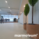 [친환경바닥재 마모륨] 솔리드_3584  White chocolate : 레알에코리빙