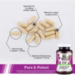 팜헤븐 밀크씨슬 실리마린 80% 30배 농축 120캡슐 (11250mg) : 힐즈스토어