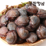 [봉팔형님] 산지직송 피꼬막 (상품) 2kg 제철 별미 피조개 : 봉팔형님