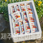 제주비트즙 : 제주영순이농장