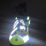 인터라켄 라이프 자켓 강아지 구명조끼 래쉬가드 XXS : 니즈더펫