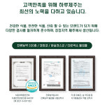 프리미엄 제주 양배추즙 양배추 과채 주스 생양배추즙 30포 : 강원식탁
