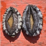 청담수산 산지직송 당일배송 완도전복 선물용 : 청담수산