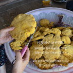 국산 장수상황버섯 200g 절편 특상품 선물세트 : 버섯놀이터 변산농장