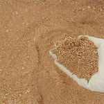 순희농장 마사토 20kg 상토 마사흙 분갈이흙 배양토 원예흙  원예용품 텃밭 : 씨티농원