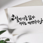 문교 바른 붓펜 낱자루 캘리그라피 : 우리아트