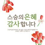 스승의날 문구 사진 현수막 제작 기념 교수님 퇴임 : 파티공구