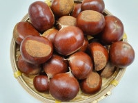 25년 맛있는 햇 공주 옥광밤 알밤 정안밤 생 1kg 2kg : 신풍애농부들