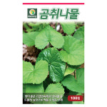 갑조네 곰취 씨앗 곰치 나물씨앗 토속 주말농장 텃밭 곰취키우기 채소 산채 종자 : 갑조네