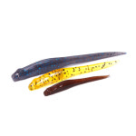 [2동탄] 메가배스 하제동 3인치 소프트베이트 웜 : 다솔낚시마트 2동탄점