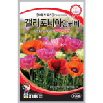 세계종묘 프릴드로즈 캘리포니아 양귀비 씨앗 양귀비씨 종자 꽃씨 100알 : 가람원