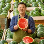 수박 고당도 맛있는 하우스 봄 꿀 수박 4kg : 수토마켓