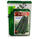 낙동청장오이씨앗 500립 하우스오이씨 종자 팜한농 : 씨앗의모든것