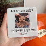 현관문패 도어사인 반려동물 사진 명패 아크릴 주문제작 10cm 치타박스 : 치타박스