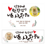 D2170 현수막 / 강아지 생일파티 애견 고양이 강아지 현수막 반려동물 1회 수정 가로형 소 : 파티붕붕
