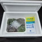 해초 모듬세트 생물해초 청꼬시래기 홍꼬시래기 세모가사리 모자반 천사채 톳 : 미듬수산