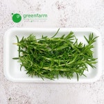 로즈마리 1팩(약10g) 생잎 생로즈마리 허브 : 싱싱채소 그린팜