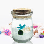 마리모 키우기 별푸딩 세트 어항 DIY 장식 수상식물 : 헤브론마켓