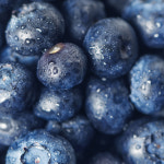 국내산 동결건조 과일칩 엄마만점 블루베리칩 15g : 영글어농장