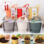 DIY 식물키트 시리즈 어린이집 식물 재배 방울토마토 해바라기 바질 강낭콩 과꽃 키우기 : 쇼핑잇템