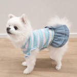 강아지원피스 애견원피스 펫츠랜드 캔디바원피스 : 펫 스타그램