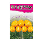 제일 슈퍼금덩어리참외 씨앗 50립 : 가야종합자재-