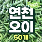 스마트팜 연천오이 백다다기 백오이 피클용 오이지용 소박이용 오이 50개 대, 8kg, 1개 : 푸르내농장